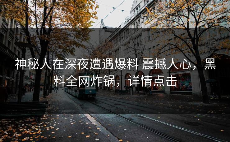 神秘人在深夜遭遇爆料 震撼人心，黑料全网炸锅，详情点击