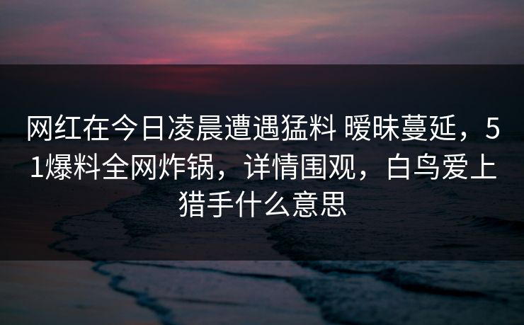 网红在今日凌晨遭遇猛料 暧昧蔓延，51爆料全网炸锅，详情围观，白鸟爱上猎手什么意思