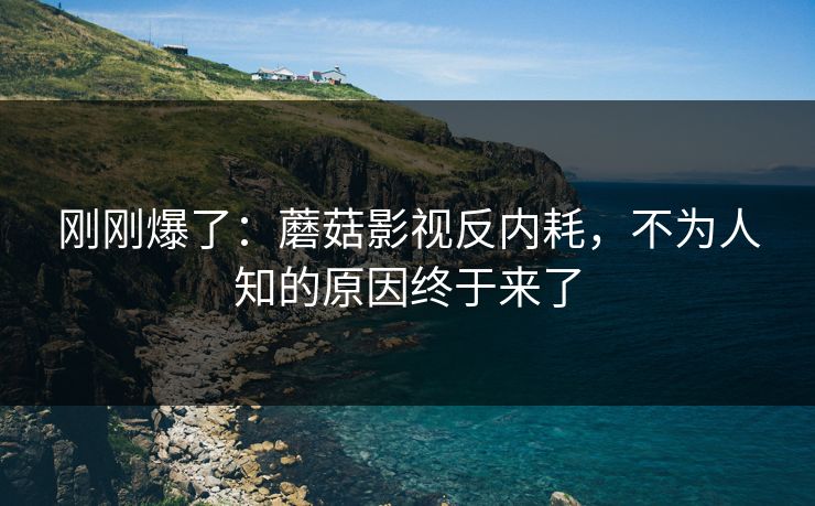 刚刚爆了：蘑菇影视反内耗，不为人知的原因终于来了