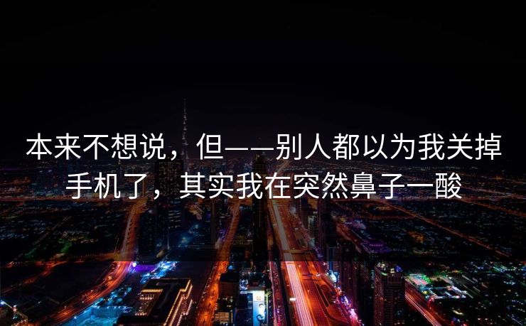 本来不想说，但——别人都以为我关掉手机了，其实我在突然鼻子一酸