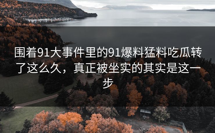 围着91大事件里的91爆料猛料吃瓜转了这么久，真正被坐实的其实是这一步